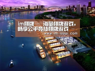 案例展示八